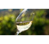 Cap Adrénaline Visite dégustation au sein d'un domaine viticole à La Roche-Vineuse près de Mâcon