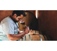 Cap Adrénaline Visite dégustation au sein d'un domaine viticole à Saint-Gilles près de Nîmes