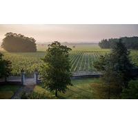 Cap Adrénaline Visite dégustation au sein d'un domaine viticole au cœur du Médoc à Lamarque