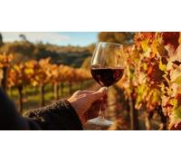 Cap Adrénaline Visite dégustation au sein d'un domaine viticole près de Blois