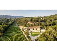 Cap Adrénaline Visite dégustation d'huile d'olive au cœur d'un domaine près d'Aix-en-Provence