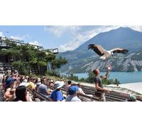 Cap Adrénaline Visite du Parc Animalier de Serre-Ponçon à Le Sauze-du-Lac