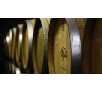 Cap Adrénaline Visite d'un domaine viticole alpin et dégustation de vins près de Chambéry