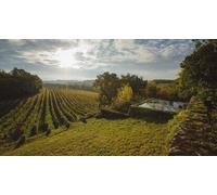 Cap Adrénaline Visite d'un domaine viticole et dégustation d'armagnacs à Lectoure