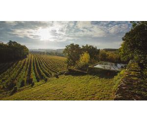 Cap Adrénaline Visite d'un domaine viticole et dégustation d'armagnacs à Lectoure