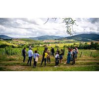 Cap Adrénaline Visite et dégustation dans un domaine viticole au cœur du Beaujolais