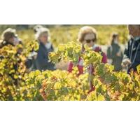 Cap Adrénaline Visite et dégustation de vignoble à Luc-sur-Orbieu près de Carcassonne