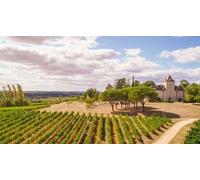 Cap Adrénaline Visite et dégustation de vin au Château de Haute-Serre à Cieurac