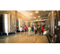 Cap Adrénaline Visite et dégustation de vins au sein d'un domaine viticole à Chinon
