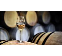 Cap Adrénaline Visite immersive et dégustation de vins au cœur d'un domaine près de Bourges