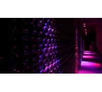 Cap Adrénaline Visite insolite sons et lumière dans des caves à vin à Limoux près de Carcassonne