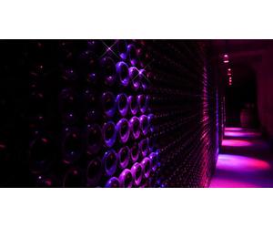 Cap Adrénaline Visite insolite sons et lumière dans des caves à vin à Limoux près de Carcassonne
