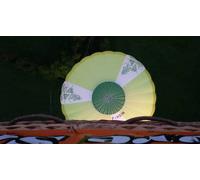 Cap Adrénaline Vol en Montgolfière au dessus de la Vienne