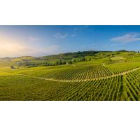 Cap Adrénaline Vol en ULM autogire et cours d'œnologie près de Narbonne