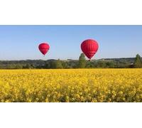 Cap Adrénaline Vol privatif en montgolfière au Domaine de Cheverny