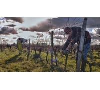 Cap Adrénaline Week-end dans le vignoble bordelais près de Soulac-sur-Mer