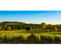 Cap Adrénaline W nd détente et œnologie près de Libourne