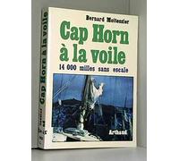 Cap Horn à la voile: 14000 milles sans escale