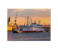 Cap San Diego Lors de l'entrée dans Le Port，1000 Pièces Puzzles - Jeux Éducatifs Jouets Joli Cadeau Assemblage Puzzles pour Adultes（50x70cm）-AE8