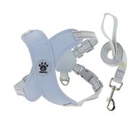 CAPASTEC 1 Ensemble, Harnais pour Chien Laisse, Cadre en X, Anti-Traction Anti-Étouffement Ajustable Petite Moyenne Taille Chiots, Gilet Respirant Chien Laisse, L, Bleu