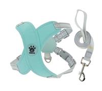 CAPASTEC 1 Ensemble, Harnais pour Chien Laisse, Cadre X, Anti-Traction Anti-Étouffement Ajustable Petite Moyenne Taille Chiots, Gilet Respirant Laisse, M, Vert
