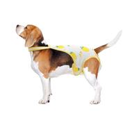 CAPASTEC Couches pour Chiennes Période Chaleurs pour Chiennes Culottes Physiologiques pour Chiots sous-Vêtements pour Animaux Lavables Réutilisables Bretelles Réglables Jaune Blanc Petit