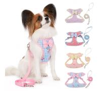 CAPASTEC Harnais Et Laisse pour Chien, Bleu, 1 Ensemble, Anti-Tirage | en Polyester, Buste 50-56Cm, Cou 40-45Cm, Laisse 150Cm, Double Anneaux en D, Anti-Étranglement, Respirant