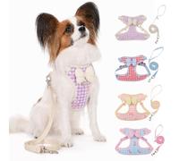 CAPASTEC Harnais Et Laisse pour Chien, Violet, 1 Kit, Anti-Étranglement | Polyester, Taille S, Buste 38-44cm, Cou 24-32cm, Laisse 150cm, Double Anneaux D, Boucle Sécurité, Mailles Respirante