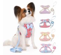 CAPASTEC Harnais pour Chien avec Laisse Réglable, Rouge, 1Pc, Polyester | Taille L, Buste 50-56cm, Cou 40-45cm, Laisse 150cm, Antitraction, Double Anneaux D, Boucle Rapide, Mailles Respirante