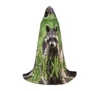 Cape à capuche d'Halloween pour adolescents, jolie cape à capuche en raton laveur, costume à capuche pour jeune pour cosplay, fête de vampire de sorcière, robe fantaisie pour adolescents, carnaval