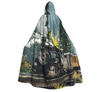 Cape à capuche unisexe avec imprimé train à vapeur médiéval Viking pour Halloween, cosplay, fête de Noël