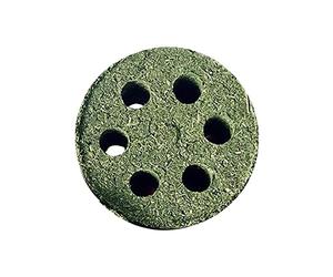 Capede Major Bunny Jeu Guine Paches Timothy EHE Carte | les jouets à mâcher du cochon d'Inde sont bons pour les dents. Ils peuvent mâcher pour mâcher