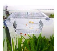 capetsma Boîte d’élevage et d’isolation de poissons en acrylique avec ventouses, convient comme incubateur/écloserie pour bébés poissons, crevettes, poissons-clowns et guppys taille S