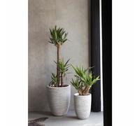 Capi Europe - Vase élégant Bas Rib NL 46x58 cm Ivoire - Ouverture Ø46 Intérieur/Extérieur
