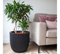Capi Jardinière Vase Pot de Fleurs Vase de Plantes Salon Bueau Intérieur vidaXL