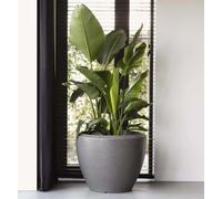 Capi Vase à plantes Arc Granite Conique Bas 60x48 cm Anthracite