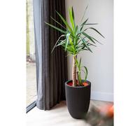 Capi Vase Élégant Groove 34x46 Cm Noir