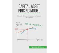 Capital Asset Pricing Model