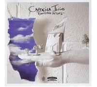 CAPOEIRA TWINS "REANSVILLE HEIGHTS" CD 10 TRACKS NEW