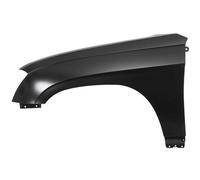 Capot avant Gauche Compatible : Chrysler Pacifique 08.03-06.06