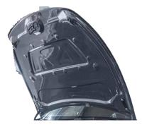 Capot de pare-choc avant SportReal en fibre de carbone, Compatible Pour Tesla Model Y 2020 2021 2022 2023(Double Carbon)