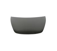 Capot moteur avant à peindre en aluminium Tesla Model 3 depuis 2017 - 1081390E0C