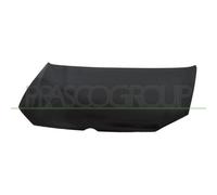 PRASCO VG0233100 Capot