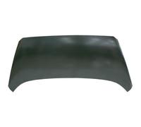 Capot pour Kia Venga à Partir De 2010 OEM 664001P000