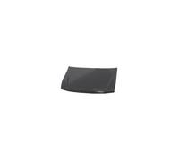 Capot pour Mitsubishi Parejo 2001-2006 OEM MR508038