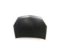 Capot pour Opel Signum Vectra C à Partir De 2005 OEM 1160012