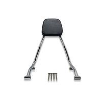 Capot selle solo Accessoires De Coussin De Protection Pour Dossier De Siège De Passager Arrière De Dossier De Moto Pour R18 R 18 2020 2021 2022(B)
