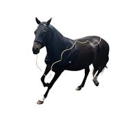 Capote de cheval avec fermeture éclair, élasthanne extensible pour protection de crinière, housse de capuche respirante pour la préparation des spectacles, économiseur de tresses, toilettage élégant