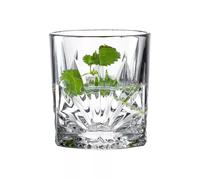 CAPRI Gobelet Verre à Whisky 22 cl - Les 4