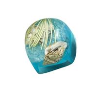 Caps de clés en résine translucide faites à la main avec des options de couleurs vives et des thèmes sous-marins pour claviers mécaniques Cartes de touches translucides personnalisables